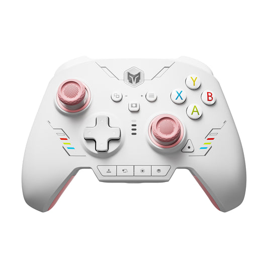 BIGBIGWON Rainbow 2 SE Gaming Controller